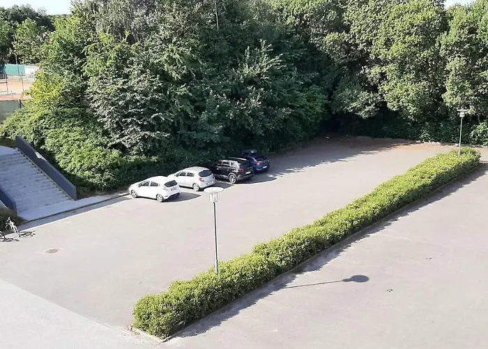 酒店 科尔丁体育酒店 科灵